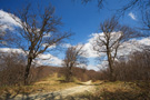 Jastrebac Crossroads